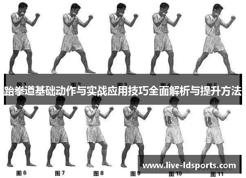 跆拳道基础动作与实战应用技巧全面解析与提升方法